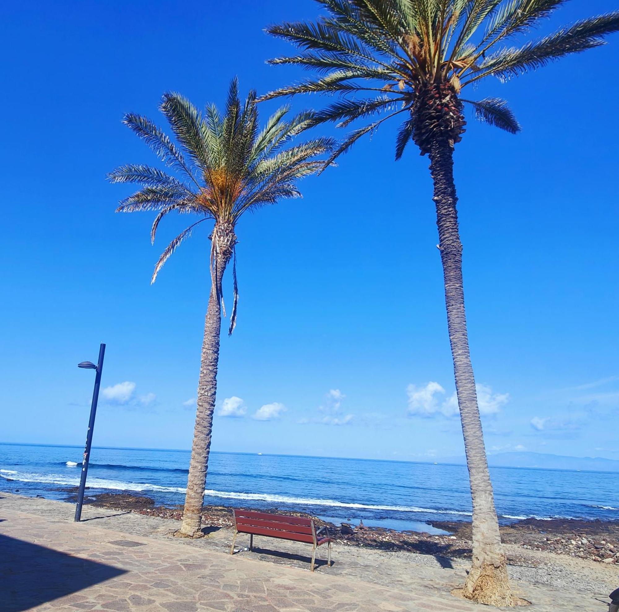 Parque Santiago 2 En Playa De Las Americas Арона Экстерьер фото